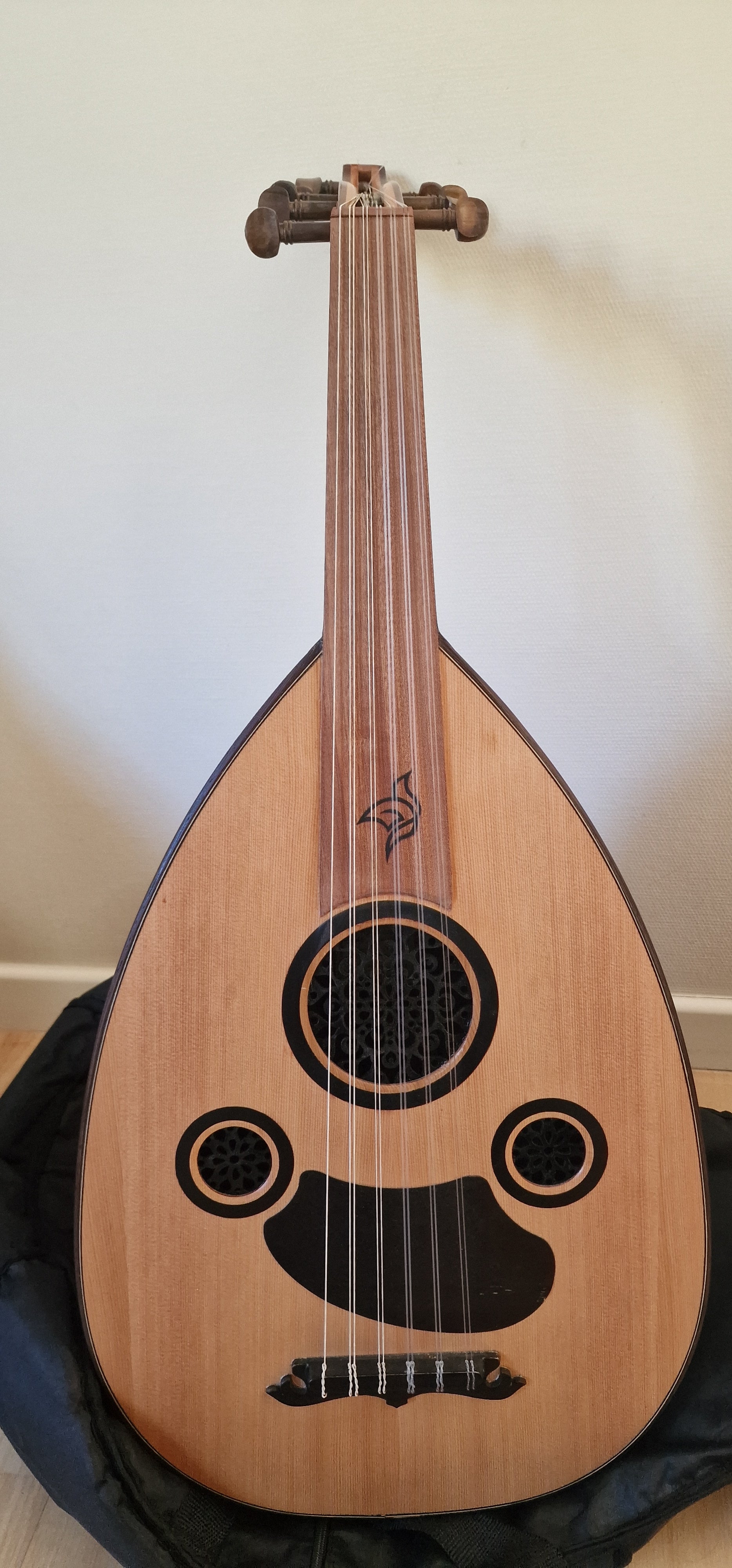 Oud Zeryab Turkish Pro-Advanced