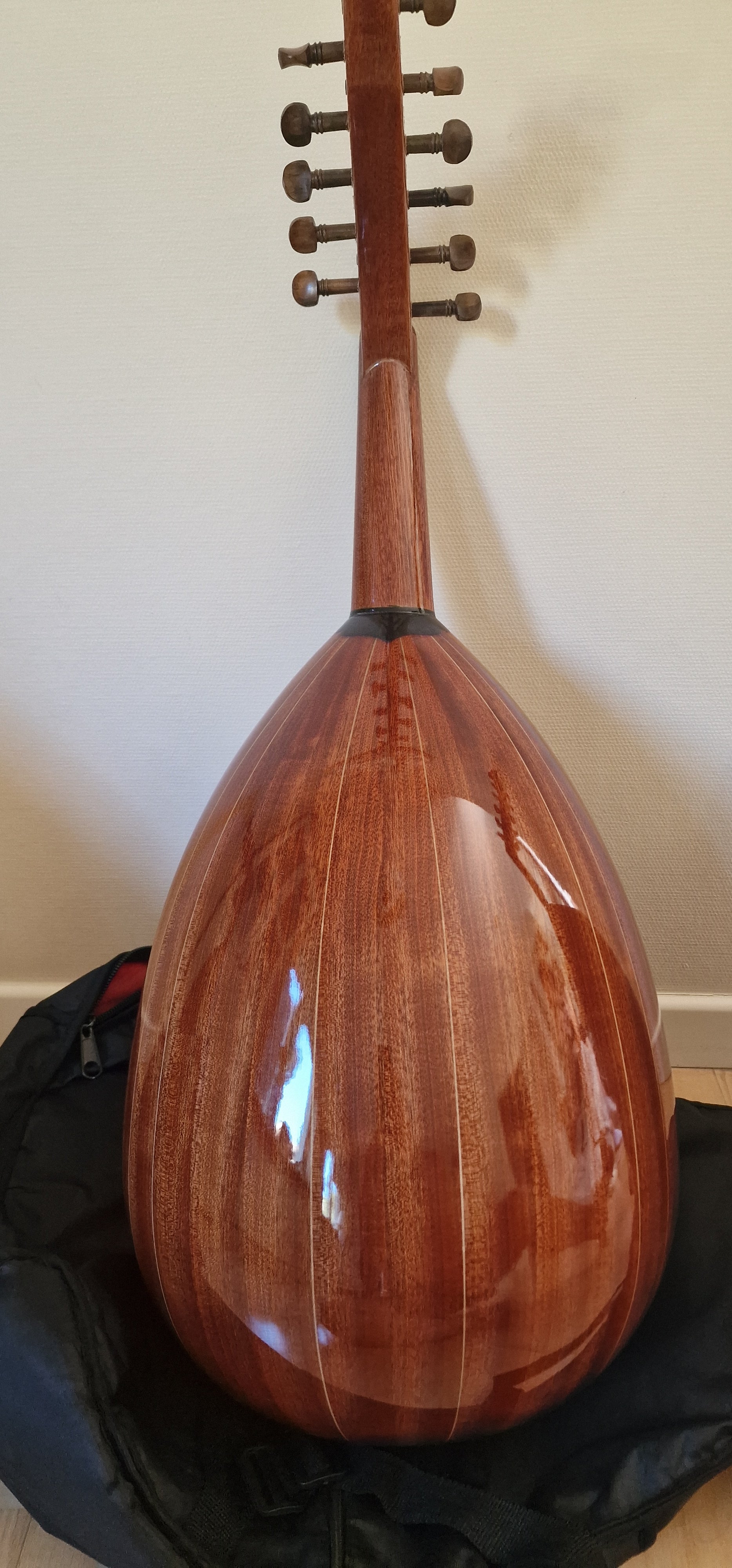 Oud Zeryab Turkish Pro-Advanced