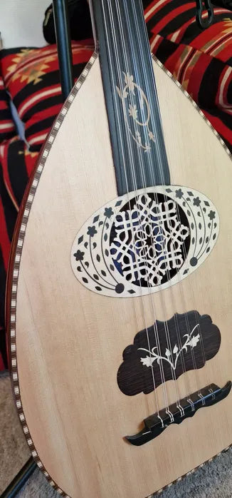 Oud instrument