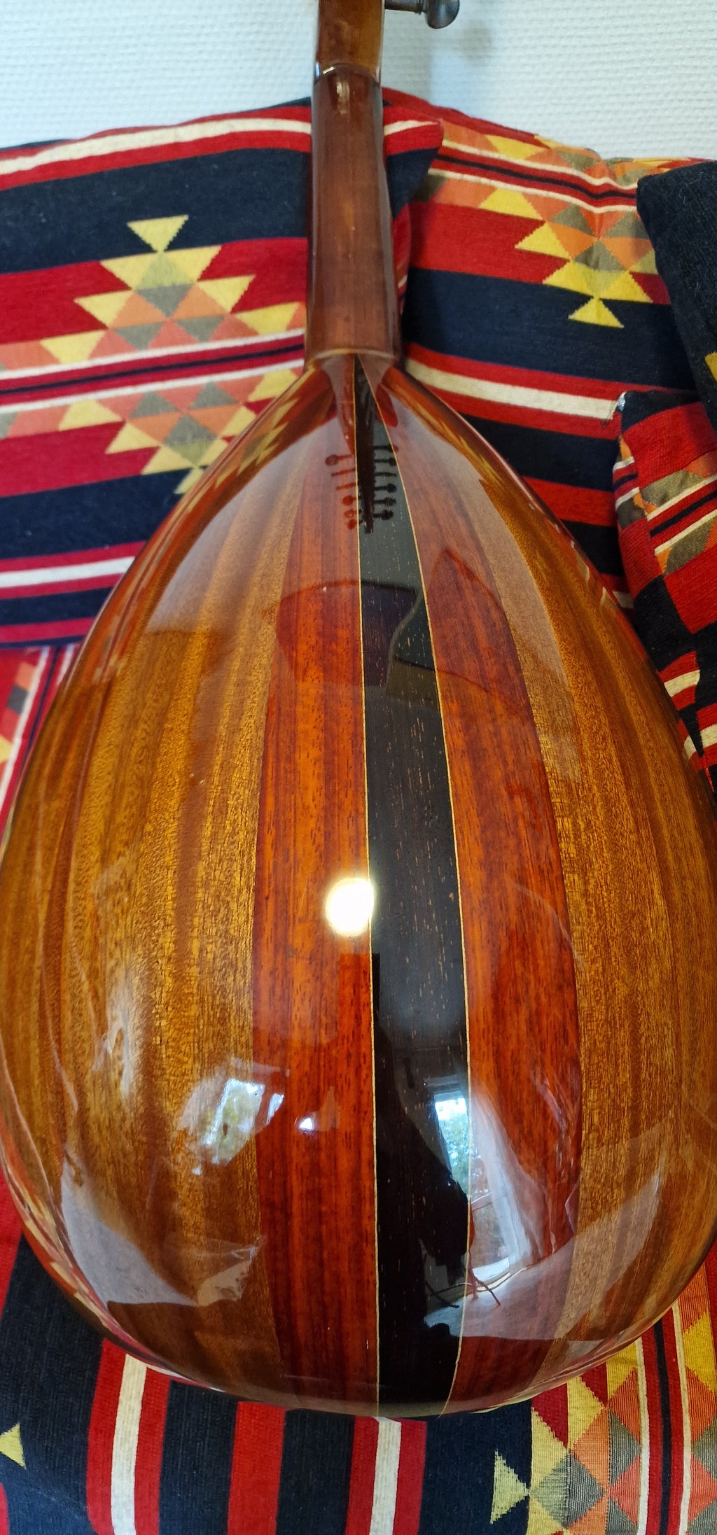 Oud instrument