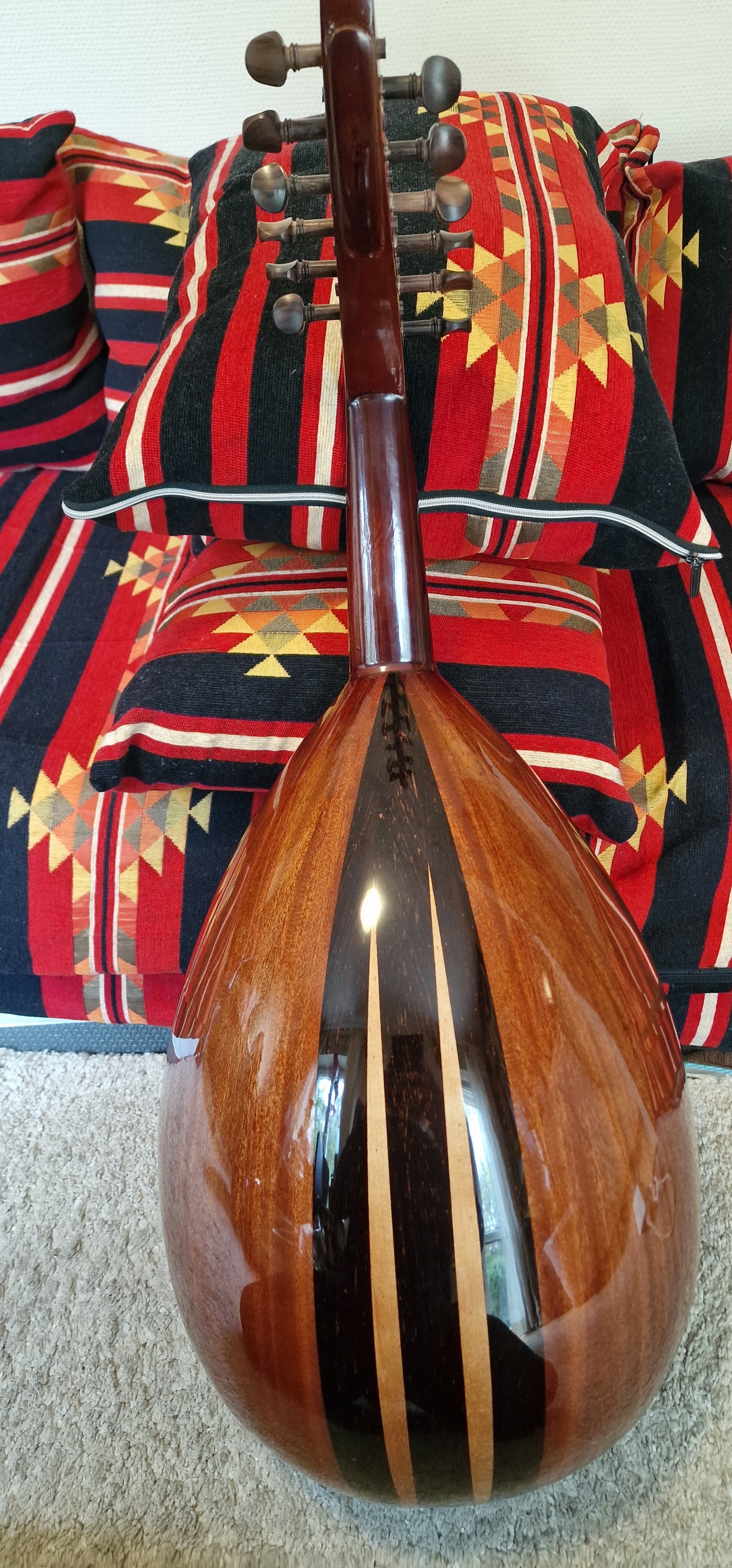 Oud instrument